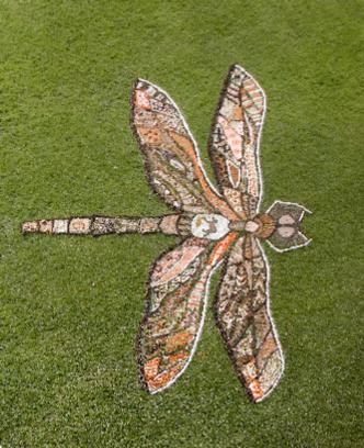 EastleighDragonFlyEastleighDragonFlyCopyrightRodVarley